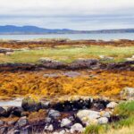 Is Irish Sea Moss the Secret Superfood Everyone’s Obsessing Over—Or Just Another Health Fad?
