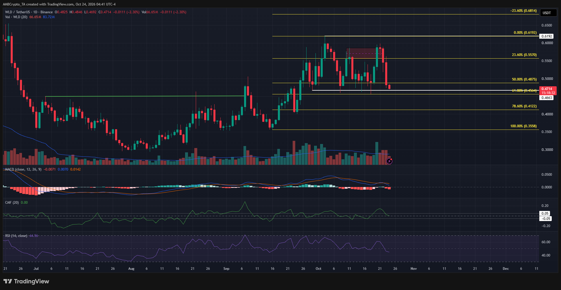 Is Worldcoin’s $4.7M Long Liquidation the Death Knell, or the Ultimate Buying Opportunity You Can’t Afford to Miss?