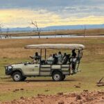 Safari Secrets Unveiled: What CroisiAfrica’s Safari Cruise Revealed Between Days 5 to 9 Will Blow Your Mind