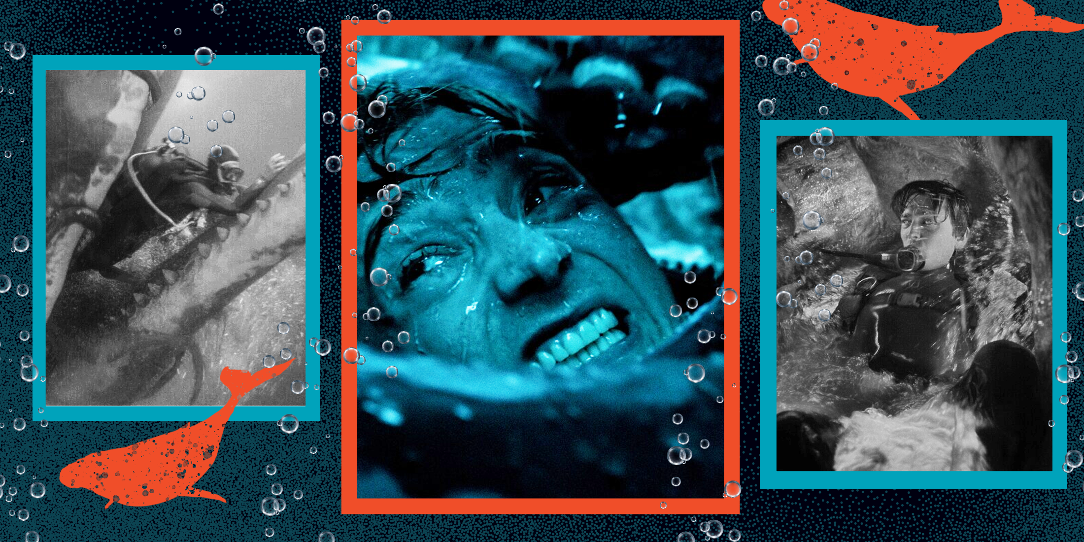 Surviving Whalefall: The Untold Human Challenge That Tests Mind, Body, and Survival Instincts to the Limit!