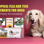 Uncover the Topical Flea and Tick Treatments Vets Don’t Want You to Know About—Protect Your Dog Like a Pro!