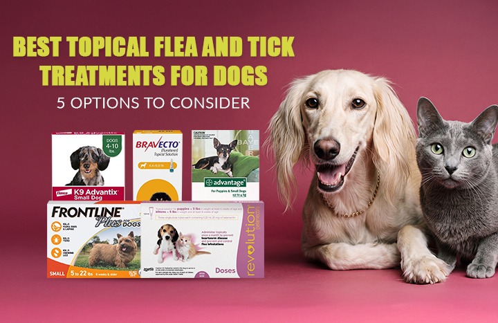 Uncover the Topical Flea and Tick Treatments Vets Don’t Want You to Know About—Protect Your Dog Like a Pro!