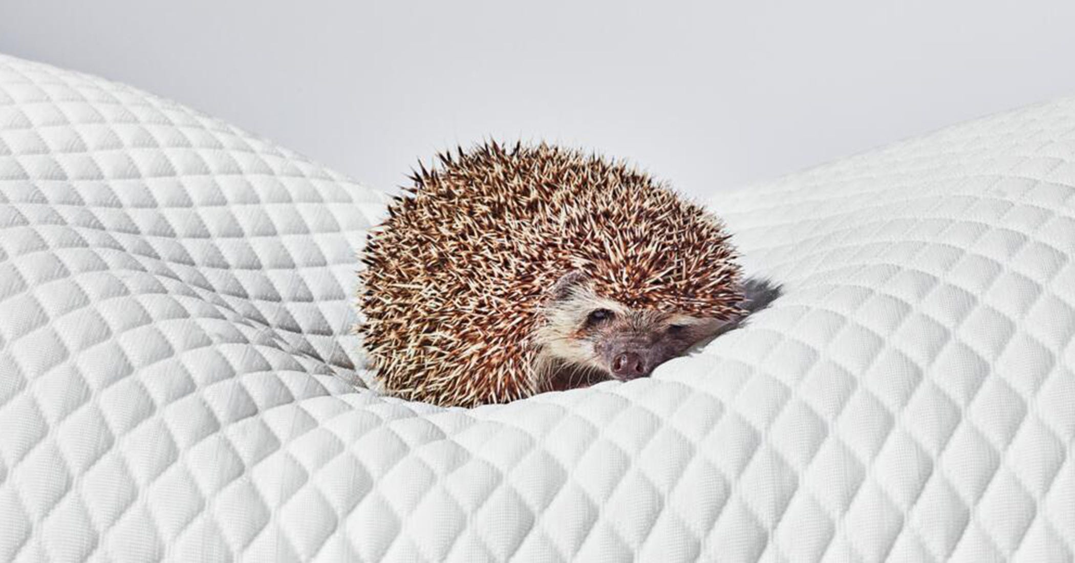 Unlock Deeper Sleep Tonight: The 10-Minute Habit Experts Swear By (And You’re Probably Missing)