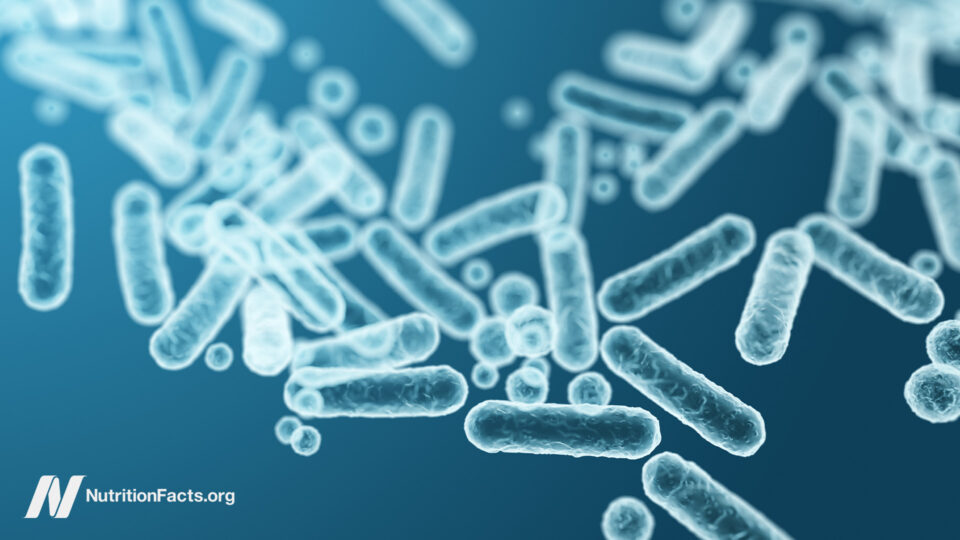 Unlock the Hidden Power of Your Gut Microbiome: The Surprising Key to Lasting Health and Vitality