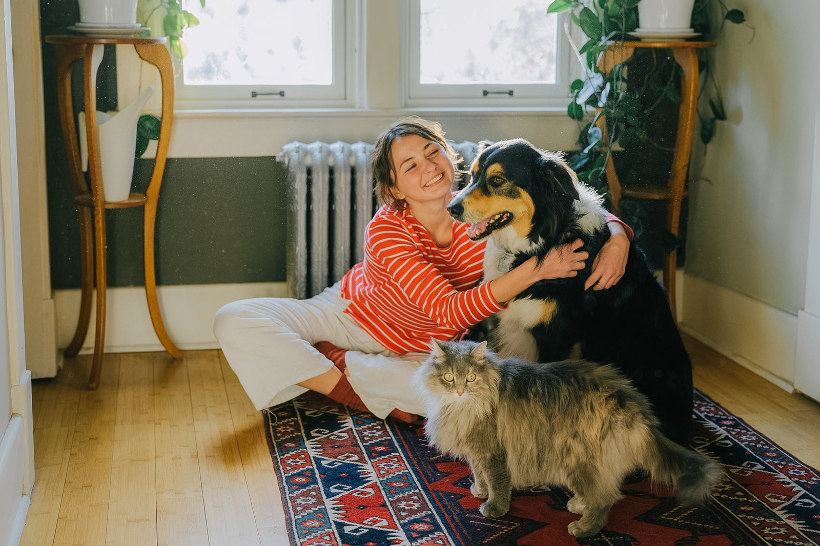 Unlock the Secret Benefits of Pet Loyalty Programs: Which One Truly Pumps Up Your Savings?
