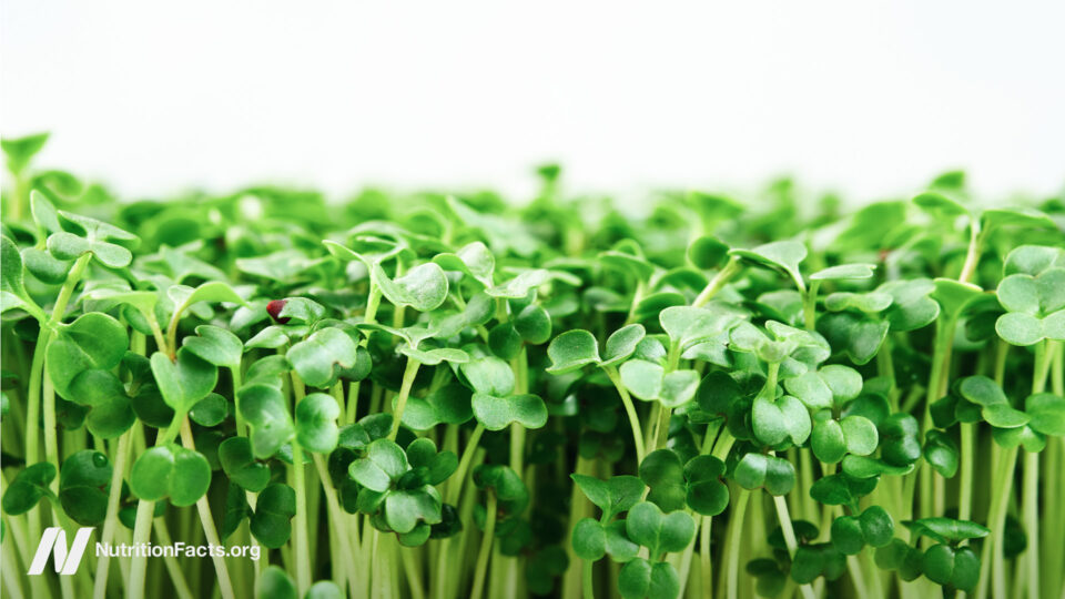 Unlock the Secret Superfoods That Silently Wreck H. Pylori and Restore Your Gut Health Fast!