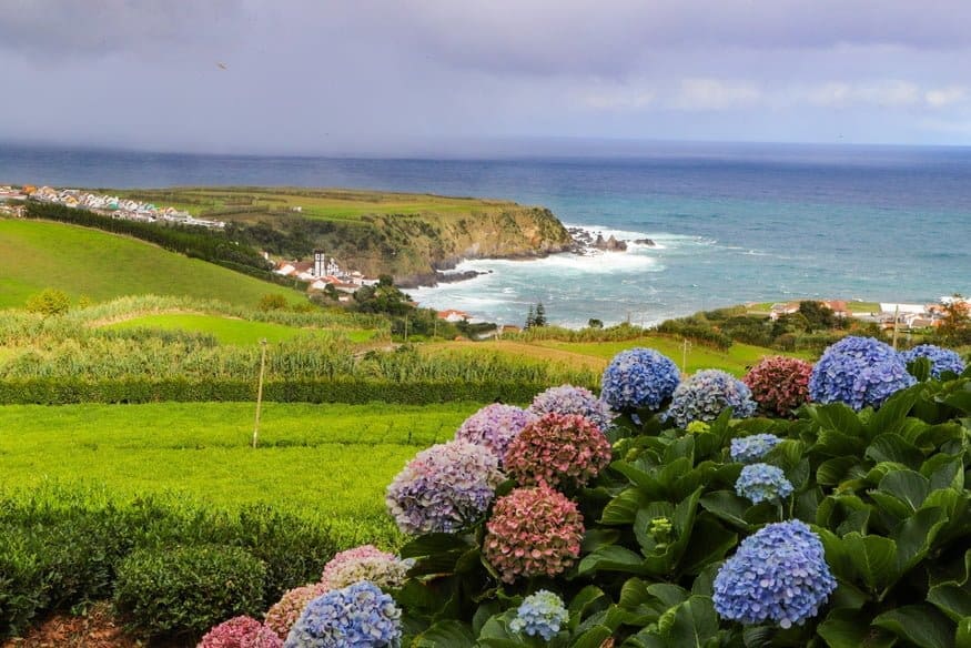 Unlocking Sao Miguel: The Hidden Azores Paradise Where Wellness Meets Untamed Adventure