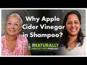 Why Apple Cider Vinegar in Shampoo? | NHP Podcast Ep. 89 | Dr. Judy Morgan & Janine Ling