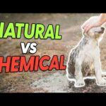 Why Natural Cleaning Products are Safer for Pets & Environment