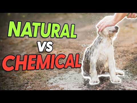 Why Natural Cleaning Products are Safer for Pets & Environment