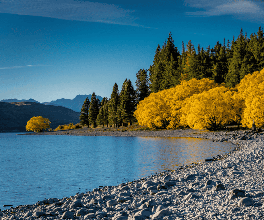 Why New Zealand’s Autumn Secrets Could Transform Your Next Adventure—and Your Soul